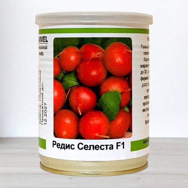 Насіння редьки Селеста, (Німеччина), 100 г (банка)
